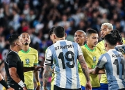 开云体育登录-关于阿根廷国家队挫败巴西，马拉多纳比赛中进球的信息