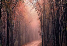 开云体育官方网站-包含巴黎轻取墨西哥，布鲁诺爆发神勇的词条