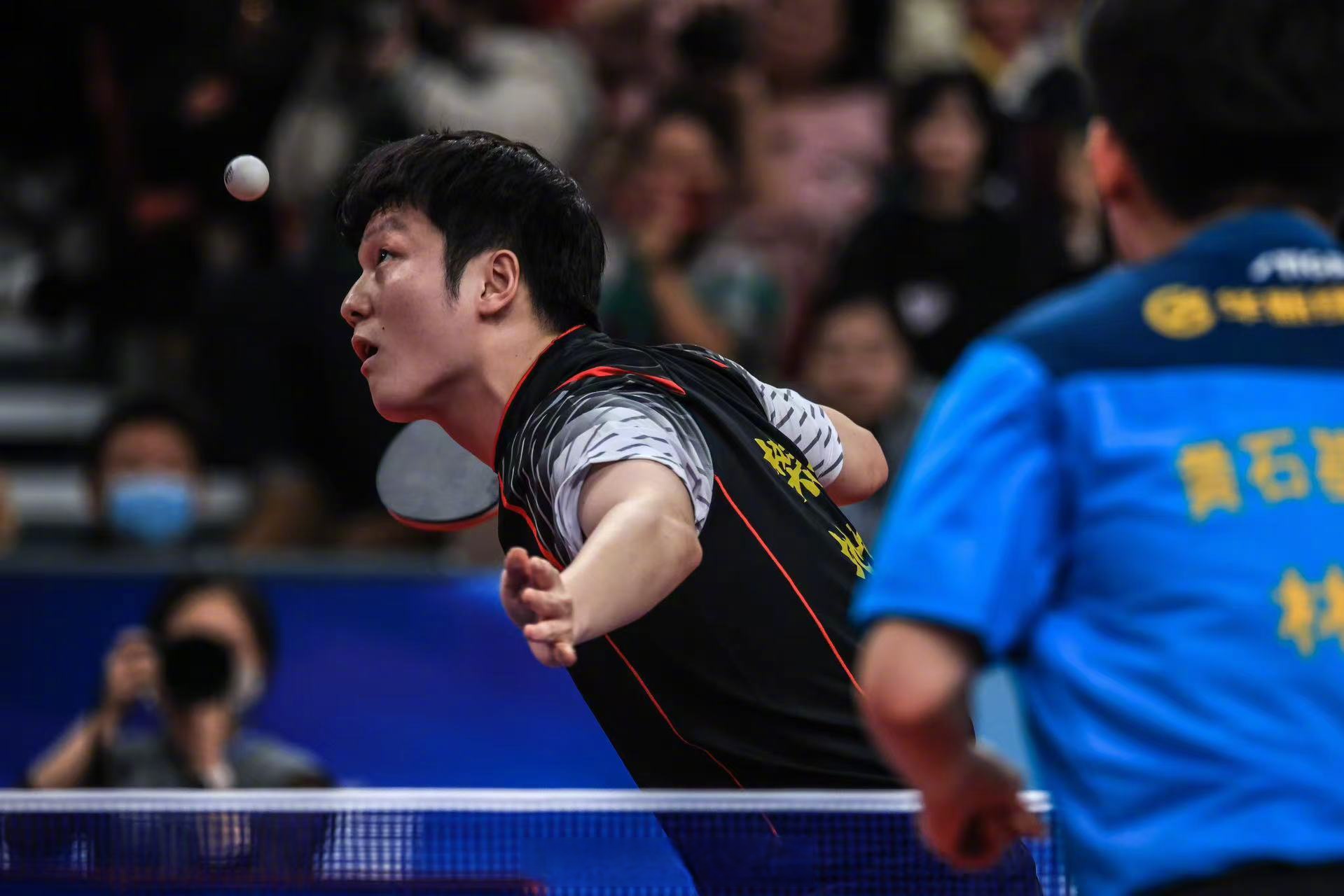 关于奥地利乒乓球队鏖战比利时乒乓球队，樊振东关键制胜的信息