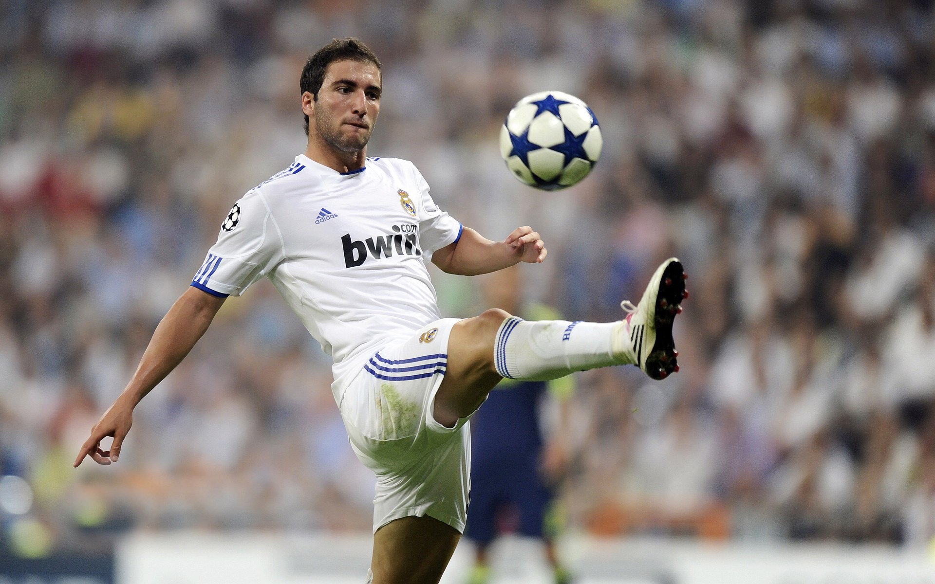 当袋鼠军团遇见高原雄鹰，一个瑞典人如何扛起澳大利亚的足球脊梁